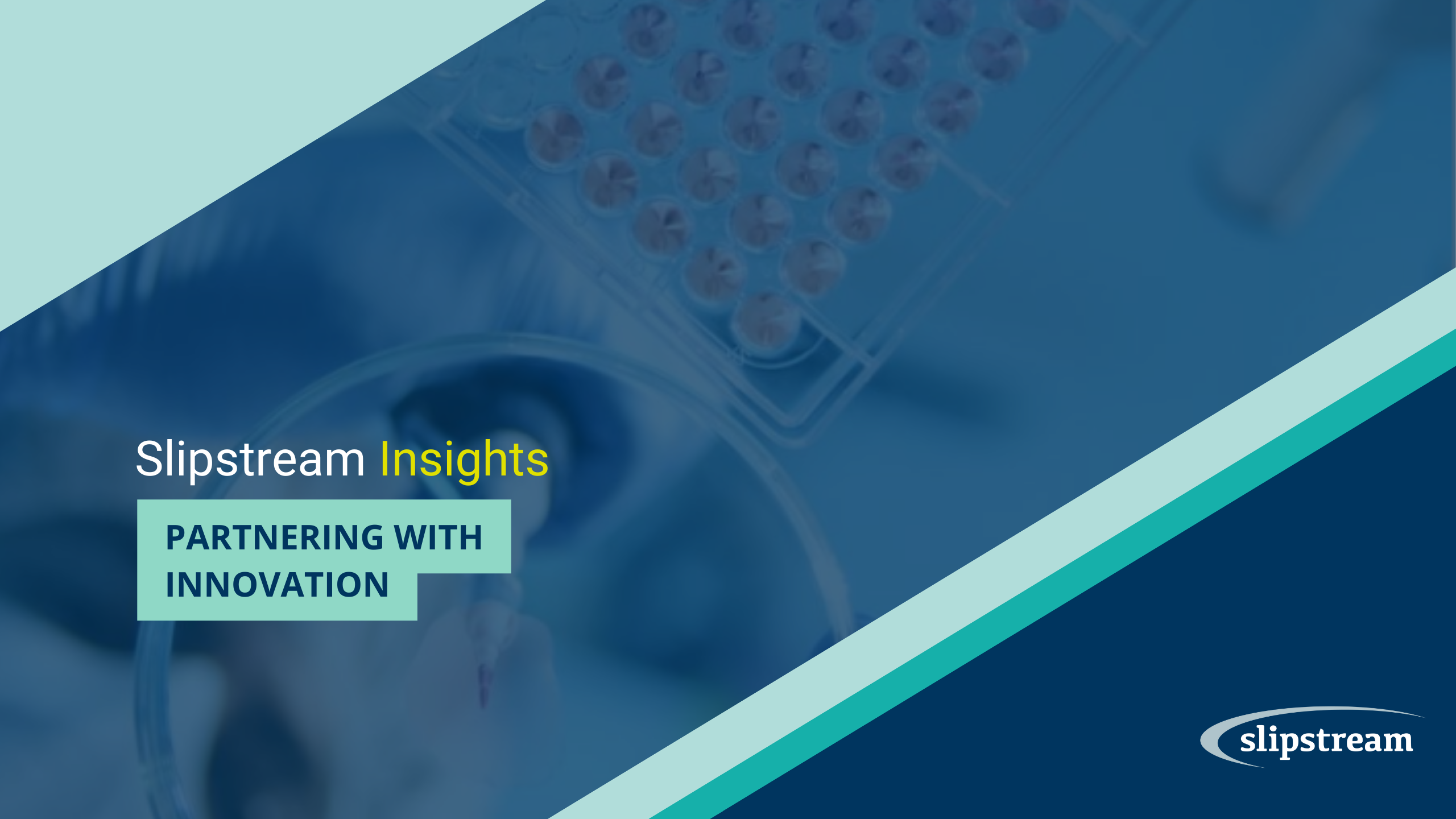 Partnering With Innovation